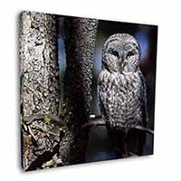 Stunning Owl in Tree Square Canvas 12"x12" Wall Art Picture Print