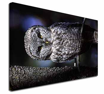 Stunning Owl in Tree Canvas X-Large 30"x20" Wall Art Print