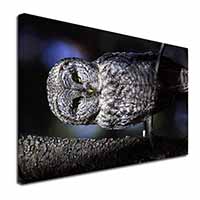 Stunning Owl in Tree Canvas X-Large 30"x20" Wall Art Print