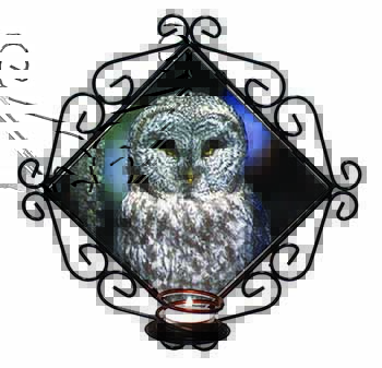 Stunning Owl in Tree Wrought Iron Wall Art Candle Holder