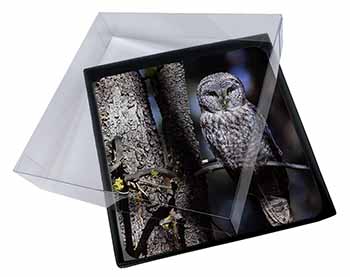 4x Stunning Owl in Tree Picture Table Coasters Set in Gift Box