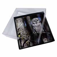 4x Stunning Owl in Tree Picture Table Coasters Set in Gift Box