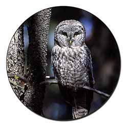 Stunning Owl in Tree Fridge Magnet Printed Full Colour