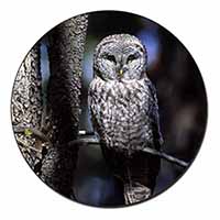 Stunning Owl in Tree Fridge Magnet Printed Full Colour
