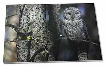 Large Glass Cutting Chopping Board Stunning Owl in Tree