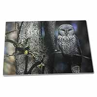 Large Glass Cutting Chopping Board Stunning Owl in Tree