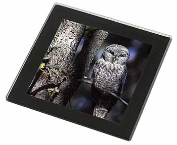 Stunning Owl in Tree Black Rim High Quality Glass Coaster