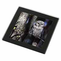 Stunning Owl in Tree Black Rim High Quality Glass Coaster