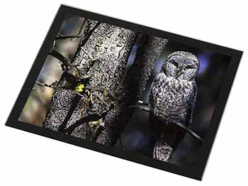 Stunning Owl in Tree Black Rim High Quality Glass Placemat