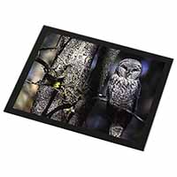 Stunning Owl in Tree Black Rim High Quality Glass Placemat