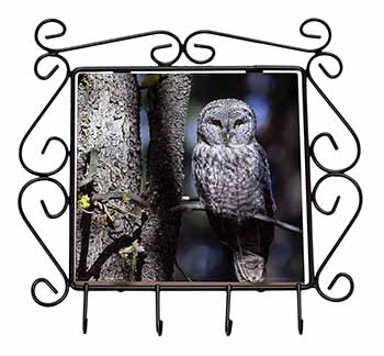 Stunning Owl in Tree Wrought Iron Key Holder Hooks