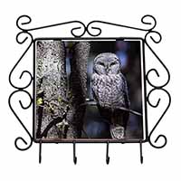 Stunning Owl in Tree Wrought Iron Key Holder Hooks