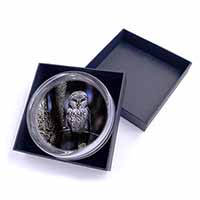 Stunning Owl in Tree Glass Paperweight in Gift Box