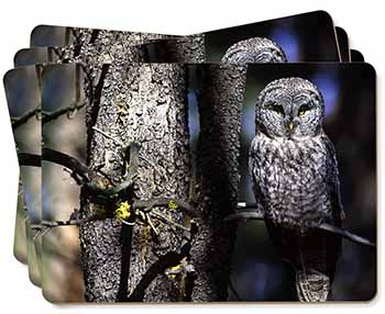 Stunning Owl in Tree Picture Placemats in Gift Box