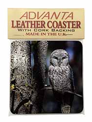 Stunning Owl in Tree Single Leather Photo Coaster