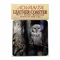 Stunning Owl in Tree Single Leather Photo Coaster