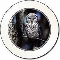 Stunning Owl in Tree Car or Van Permit Holder/Tax Disc Holder