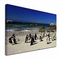 Beach Penguins Canvas X-Large 30"x20" Wall Art Print