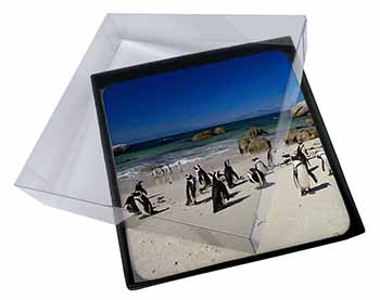 4x Beach Penguins Picture Table Coasters Set in Gift Box