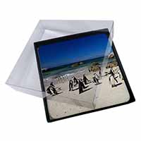 4x Beach Penguins Picture Table Coasters Set in Gift Box
