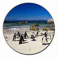 Beach Penguins Fridge Magnet Printed Full Colour