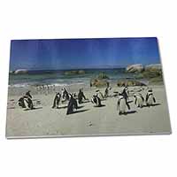 Large Glass Cutting Chopping Board Beach Penguins