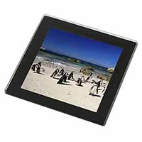 Beach Penguins Black Rim High Quality Glass Coaster