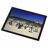 Beach Penguins Black Rim High Quality Glass Placemat