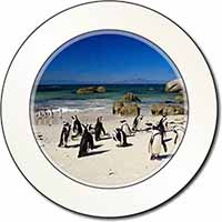 Beach Penguins Car or Van Permit Holder/Tax Disc Holder