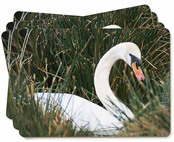 Swan in Grass Land Picture Placemats in Gift Box