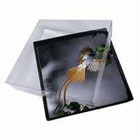4x Humming Bird Picture Table Coasters Set in Gift Box