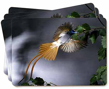 Humming Bird Picture Placemats in Gift Box