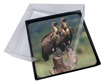4x Vultures on Watch Picture Table Coasters Set in Gift Box