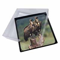 4x Vultures on Watch Picture Table Coasters Set in Gift Box