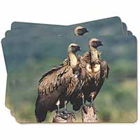 Vultures on Watch Picture Placemats in Gift Box
