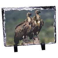Vultures on Watch, Stunning Animal Photo Slate