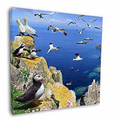 Puffins and Sea Bird Montage Square Canvas 12"x12" Wall Art Picture Print