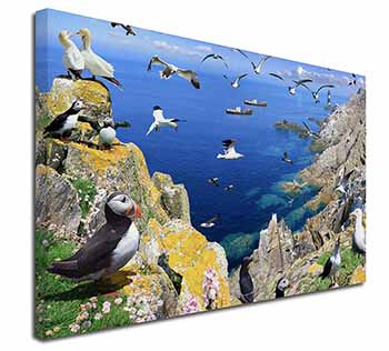 Puffins and Sea Bird Montage Canvas X-Large 30"x20" Wall Art Print