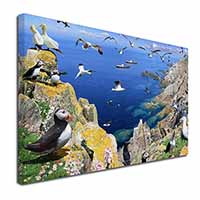 Puffins and Sea Bird Montage Canvas X-Large 30"x20" Wall Art Print