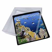 4x Puffins and Sea Bird Montage Picture Table Coasters Set in Gift Box