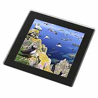 Puffins and Sea Bird Montage Black Rim High Quality Glass Coaster