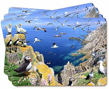 Puffins and Sea Bird Montage Picture Placemats in Gift Box