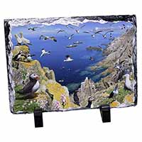 Puffins and Sea Bird Montage, Stunning Photo Slate