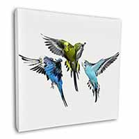 Budgerigars, Budgies in Flight Square Canvas 12"x12" Wall Art Picture Print