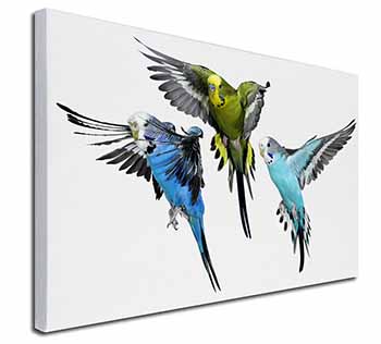 Budgerigars, Budgies in Flight Canvas X-Large 30"x20" Wall Art Print