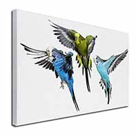 Budgerigars, Budgies in Flight Canvas X-Large 30"x20" Wall Art Print