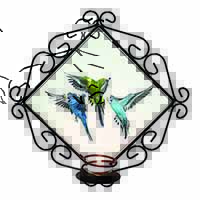 Budgerigars, Budgies in Flight Wrought Iron Wall Art Candle Holder