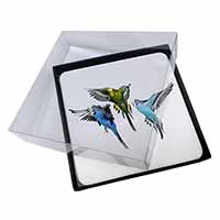 4x Budgerigars, Budgies in Flight Picture Table Coasters Set in Gift Box