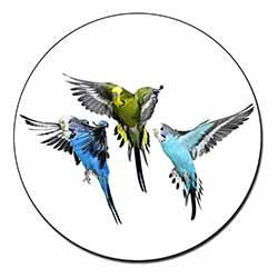 Budgerigars, Budgies in Flight Fridge Magnet Printed Full Colour