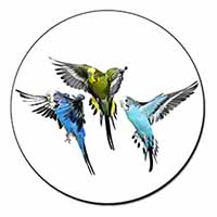 Budgerigars, Budgies in Flight Fridge Magnet Printed Full Colour